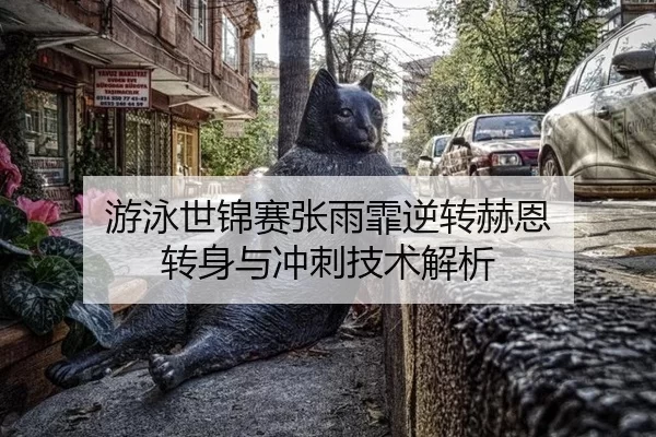 游泳世锦赛张雨霏逆转赫恩 转身与冲刺技术解析